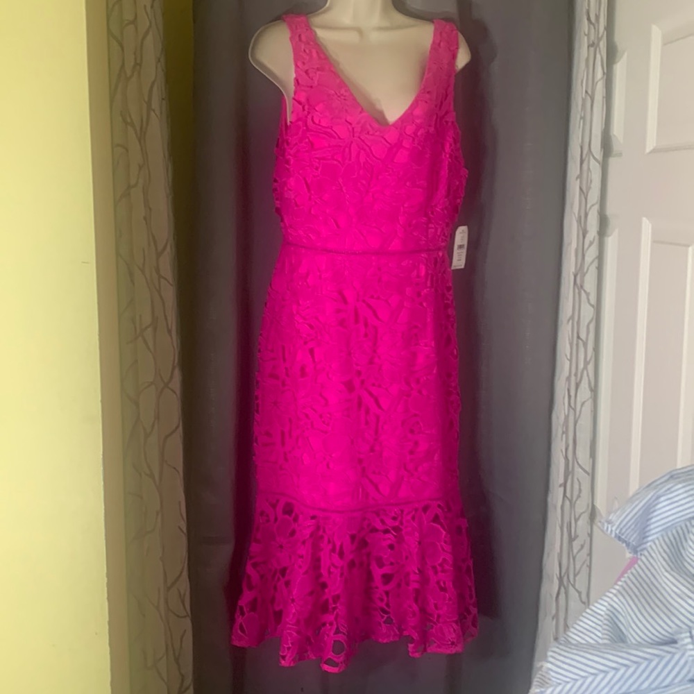 Alexis Admor pink lace dress